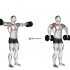 Dumbbell Deadlift