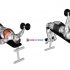 Dumbbell Decline Bench Press