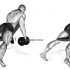 Dumbbell Decline Shrug