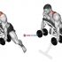 Dumbbell Decline Triceps Extension