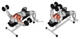 Dumbbell Fly