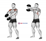 Dumbbell Front Raise (version 2)