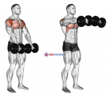Dumbbell Front Raise