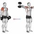 Dumbbell Hammer Curl (version 2)