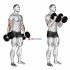 Dumbbell Hammer Curl