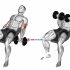Dumbbell Incline Breeding
