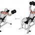 Dumbbell Incline Curl