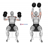 Dumbbell Incline Hammer Press