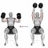 Dumbbell Incline Hammer Curl