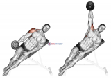 Dumbbell Incline One Arm Lateral Raise