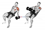 Dumbbell Incline Raise