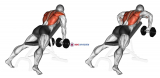 Dumbbell Incline Row