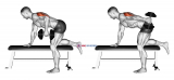 Dumbbell Kickback