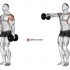 Dumbbell Lateral to Front Raise