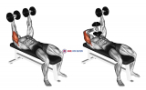 Dumbbell Lying  Extension (across face)