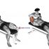 Dumbbell Lying One Arm Rear Lateral Raise