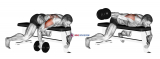 Dumbbell Lying One Arm Rear Lateral Raise