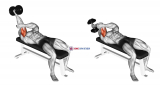 Dumbbell Lying One Arm Supinated Triceps Extension