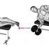 Dumbbell Lying Supine Curl