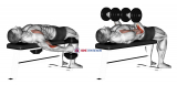 Dumbbell Lying Supine Curl
