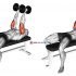 Dumbbell One Arm Concetration Curl (on stability ball)