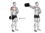 Dumbbell One Arm Lateral Raise