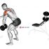 Dumbbell Seated One Leg Calf Raise – Hammer Grip