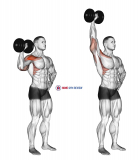 Dumbbell One Arm Shoulder Press (version 2)