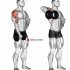 Dumbbell One arm Wrist Curl