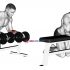 Dumbbell Over Bench One Arm Wrist Curl