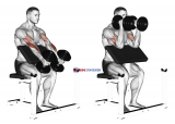 Dumbbell Peacher Hammer Curl