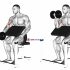Dumbbell Plyo Squat
