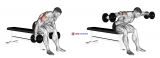 Dumbbell Rear Fly