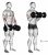 Dumbbell Revers grip Biceps Curl