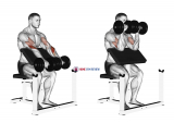 Dumbbell Reverse Preacher Curl