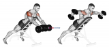 Dumbbell Rotation Reverse Fly