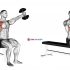 Dumbbell Rotation Reverse Fly