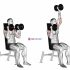 Dumbbell Seated Bench Extension