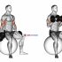 Dumbbell Seated Bench Extension