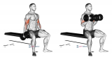 Dumbbell Seated Curl