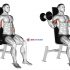 Dumbbell Seated Front Raise