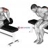 Dumbbell Seated Lateral Raise (version 2)