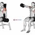 Dumbbell Seated Lateral Raise