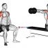 Dumbbell Seated Lateral Raise (version 2)