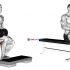 Dumbbell Seated One Arm Rotate