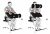 Dumbbell Seated Preacher Curl