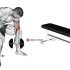 Dumbbell Seated Palms Up Wrist Curl