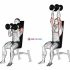 Dumbbell Seated Shoulder Press