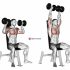 Dumbbell Side Bend