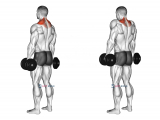Dumbbell Shrug